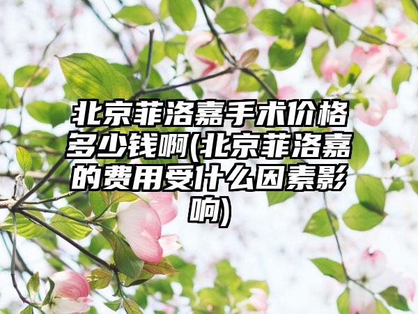 北京菲洛嘉手术价格多少钱啊(北京菲洛嘉的费用受什么因素影响)