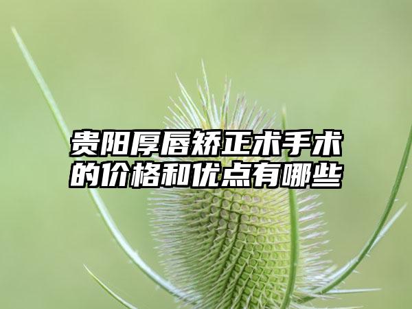 贵阳厚唇矫正术手术的价格和优点有哪些