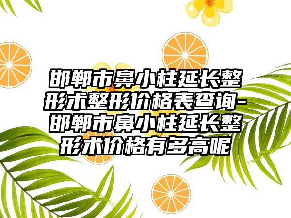 邯郸市鼻小柱延长整形术整形价格表查询-邯郸市鼻小柱延长整形术价格有多高呢