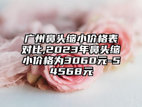 广州鼻头缩小价格表对比,2023年鼻头缩小价格为3060元-54568元