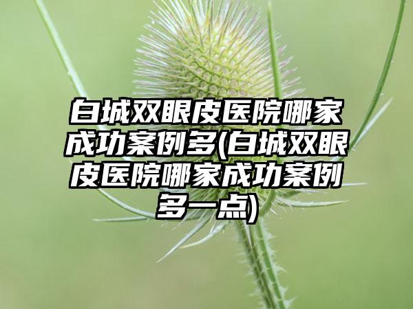 白城双眼皮医院哪家成功实例多(白城双眼皮医院哪家成功实例多一点)