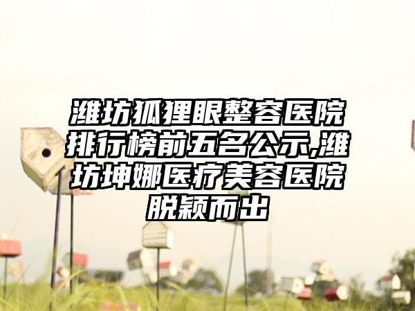 潍坊狐狸眼整容医院排行榜前五名公示,潍坊坤娜医疗美容医院脱颖而出