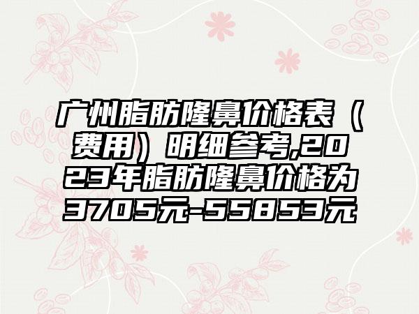 广州脂肪隆鼻价格表（费用）明细参考,2023年脂肪隆鼻价格为3705元-55853元