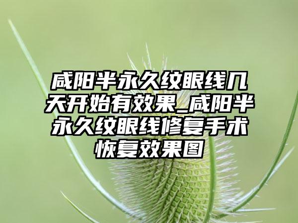 咸阳半恒久纹眼线几天开始有成果_咸阳半恒久纹眼线修复手术修复成果图