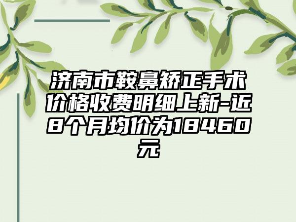 济南市鞍鼻矫正手术价格收费明细上新-近8个月均价为18460元