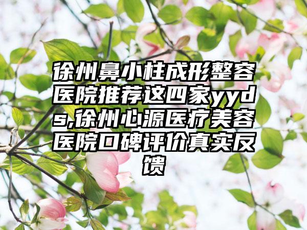 徐州鼻小柱成形整容医院推荐这四家yyds,徐州心源医疗美容医院口碑评价真实反馈