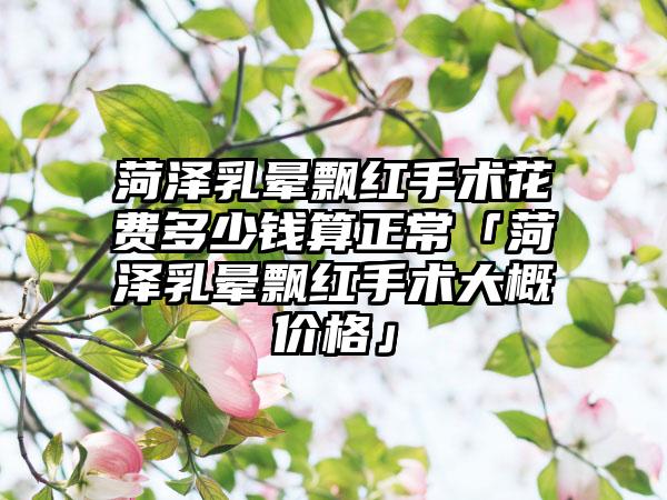 菏泽乳晕飘红手术花费多少钱算正常「菏泽乳晕飘红手术大概价格」