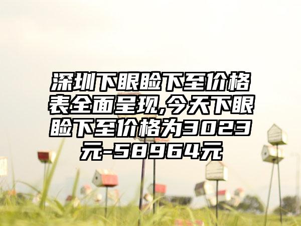 深圳下眼睑下至价格表多面呈现,今天下眼睑下至价格为3023元-58964元