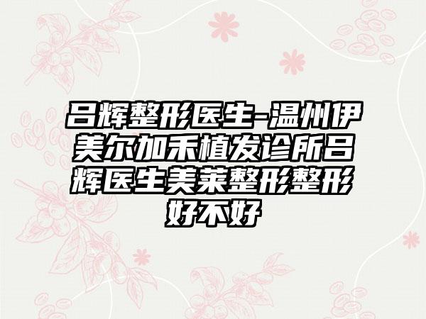 吕辉整形医生-温州伊美尔加禾植发诊所吕辉医生美莱整形整形好不好