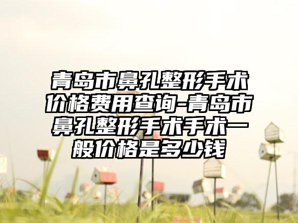 青岛市鼻孔整形手术价格费用查询-青岛市鼻孔整形手术手术一般价格是多少钱