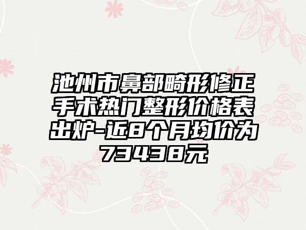 池州市鼻部畸形修正手术热门整形价格表出炉-近8个月均价为73438元