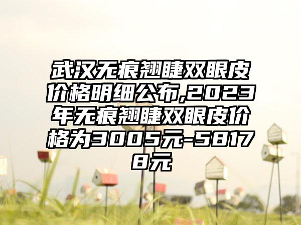 武汉无痕翘睫双眼皮价格明细公布,2023年无痕翘睫双眼皮价格为3005元-58178元