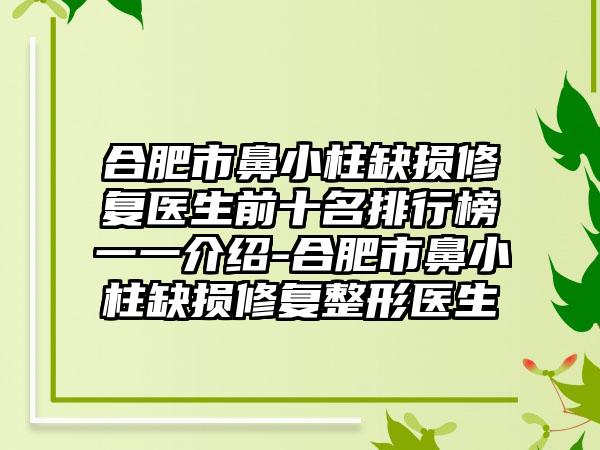 合肥市鼻小柱缺损修复医生前十名排行榜一一介绍-合肥市鼻小柱缺损修复整形医生