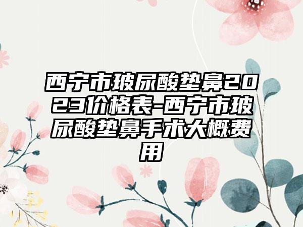 西宁市玻尿酸垫鼻2023价格表-西宁市玻尿酸垫鼻手术大概费用