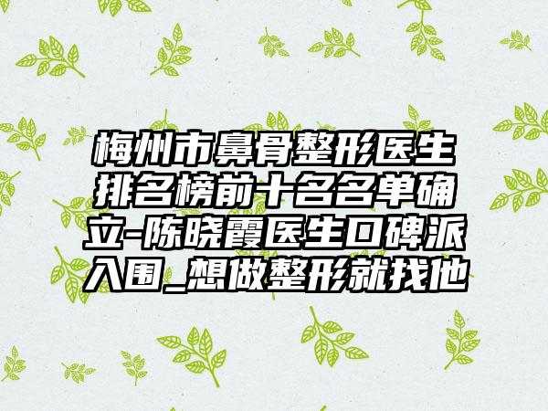 梅州市鼻骨整形医生排名榜前十名名单确立-陈晓霞医生口碑派入围_想做整形就找他