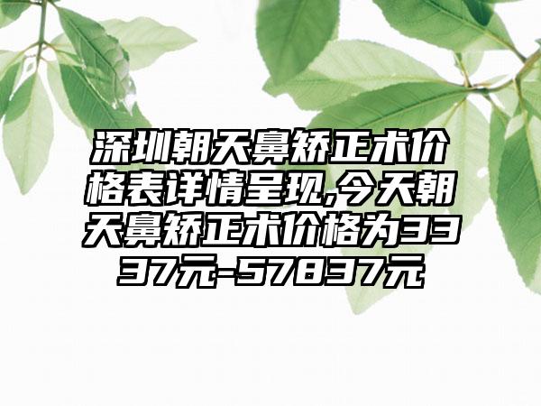 深圳朝天鼻矫正术价格表详情呈现,今天朝天鼻矫正术价格为3337元-57837元