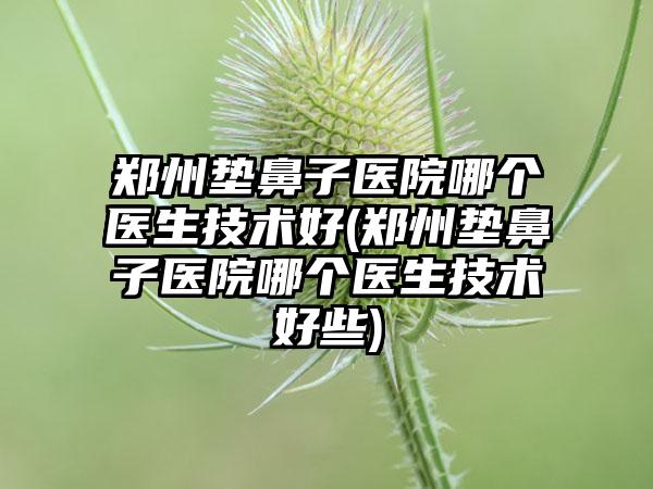 郑州垫鼻子医院哪个医生技术好(郑州垫鼻子医院哪个医生技术好些)