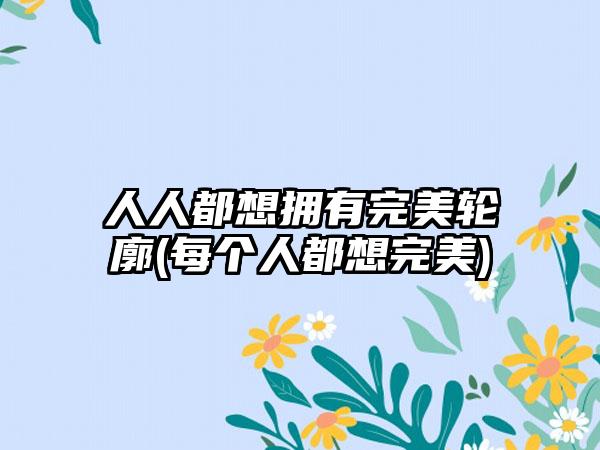 人人都想拥有理想轮廓(每个人都想理想)