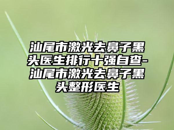 汕尾市激光去鼻子黑头医生排行十强自查-汕尾市激光去鼻子黑头整形医生