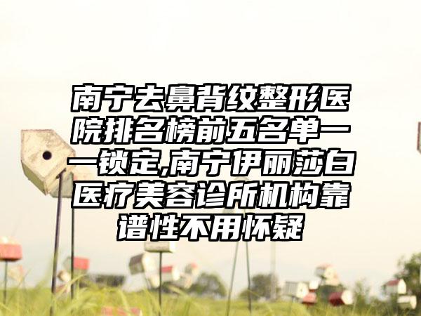 南宁去鼻背纹整形医院排名榜前五名单一一锁定,南宁伊丽莎白医疗美容诊所机构靠谱性不用怀疑