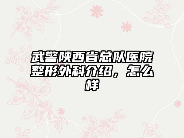 武警陕西省总队医院整形外科介绍，怎么样