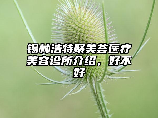 锡林浩特聚美荟医疗美容诊所介绍，好不好