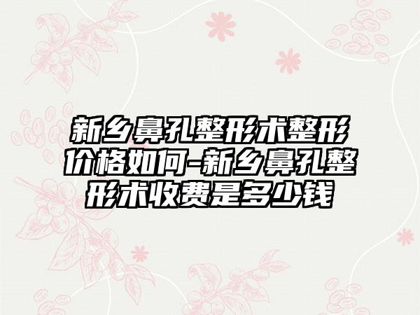 新乡鼻孔整形术整形价格如何-新乡鼻孔整形术收费是多少钱