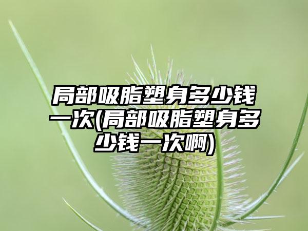 局部吸脂塑身多少钱一次(局部吸脂塑身多少钱一次啊)