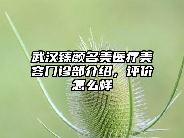 武汉臻颜名美医疗美容门诊部介绍，评价怎么样