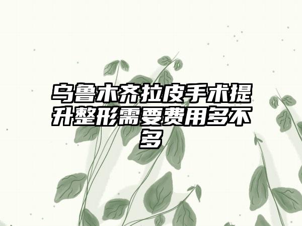 乌鲁木齐拉皮手术提升整形需要费用多不多