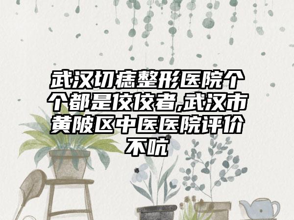 武汉切痣整形医院个个都是佼佼者,武汉市黄陂区中医医院评价不吭