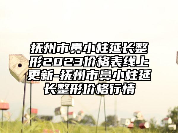 抚州市鼻小柱延长整形2023价格表线上更新-抚州市鼻小柱延长整形价格行情