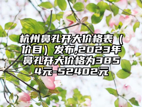 杭州鼻孔开大价格表（价目）发布,2023年鼻孔开大价格为3854元-52402元