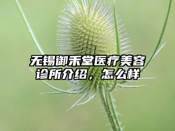 无锡御禾堂医疗美容诊所介绍，怎么样