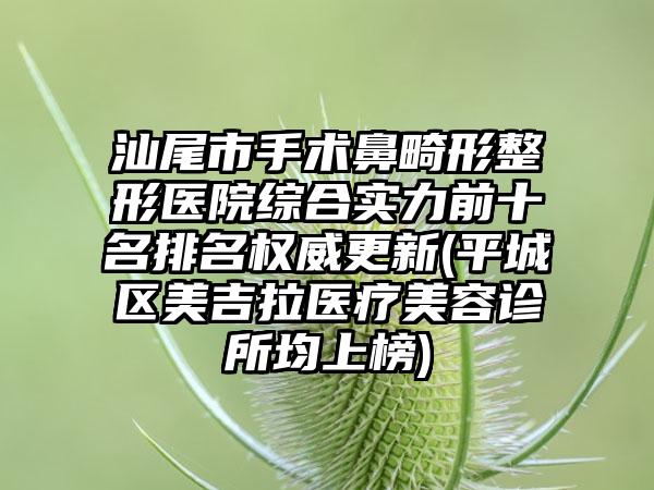 汕尾市手术鼻畸形整形医院综合实力前十名排名权威更新(平城区美吉拉医疗美容诊所均上榜)