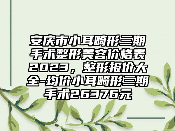 安庆市小耳畸形三期手术整形美容价格表2023，整形报价大全-均价小耳畸形三期手术26376元