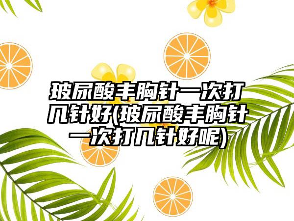 玻尿酸丰胸针一次打几针好(玻尿酸丰胸针一次打几针好呢)