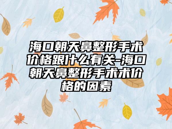 海口朝天鼻整形手术价格跟什么有关-海口朝天鼻整形手术术价格的因素