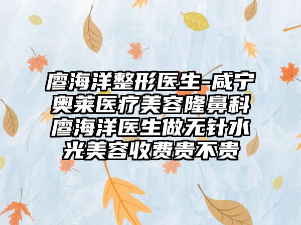 廖海洋整形医生-咸宁奥莱医疗美容隆鼻科廖海洋医生做无针水光美容收费贵不贵