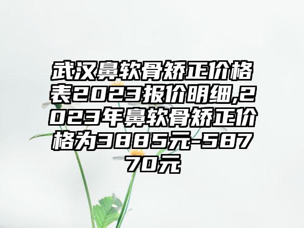 武汉鼻软骨矫正价格表2023报价明细,2023年鼻软骨矫正价格为3885元-58770元