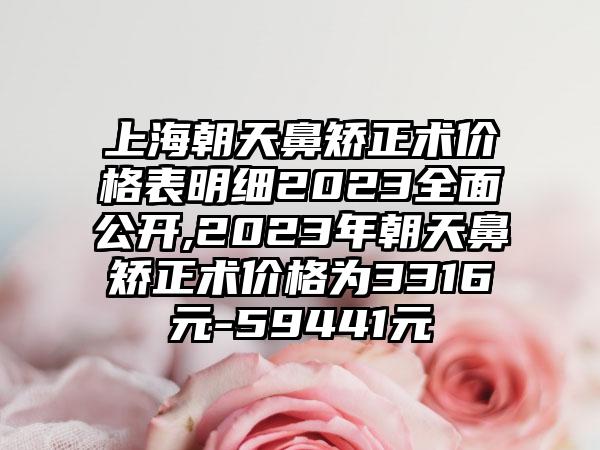 上海朝天鼻矫正术价格表明细2023多面公开,2023年朝天鼻矫正术价格为3316元-59441元