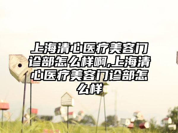 上海清心医疗美容门诊部怎么样啊,上海清心医疗美容门诊部怎么样