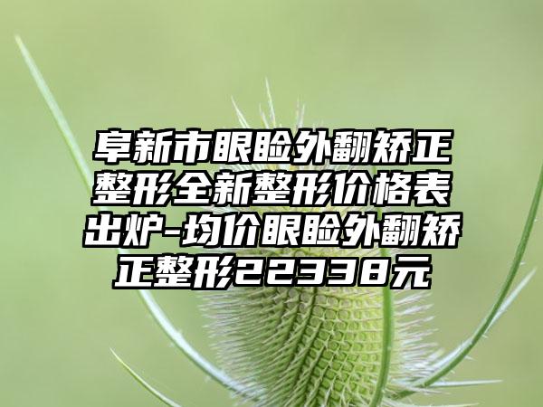 阜新市眼睑外翻矫正整形全新整形价格表出炉-均价眼睑外翻矫正整形22338元