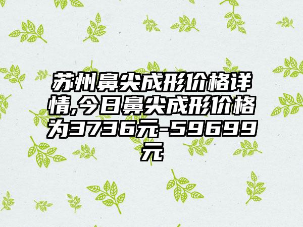 苏州鼻尖成形价格详情,今日鼻尖成形价格为3736元-59699元