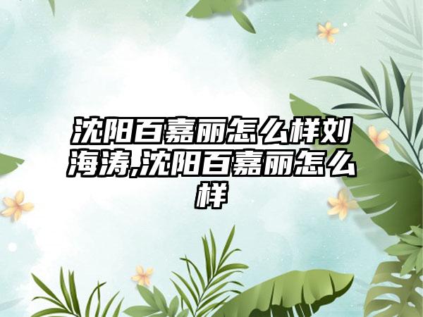 沈阳百嘉丽怎么样刘海涛,沈阳百嘉丽怎么样