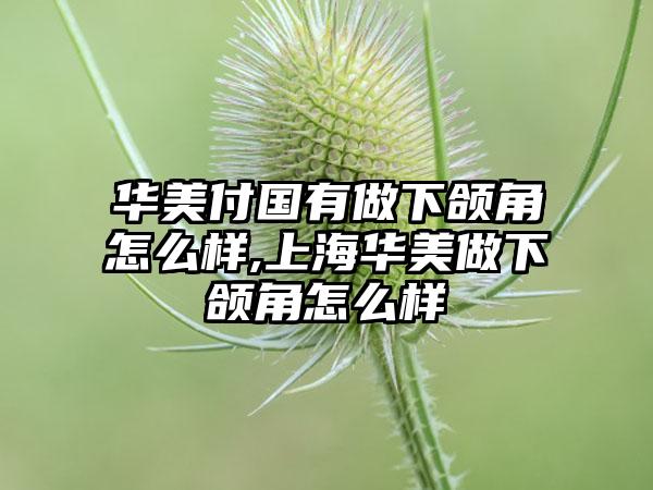 华美付国有做下颌角怎么样,上海华美做下颌角怎么样