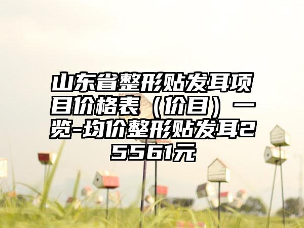 山东省整形贴发耳项目价格表（价目）一览-均价整形贴发耳25561元