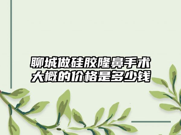 聊城做硅胶隆鼻手术大概的价格是多少钱