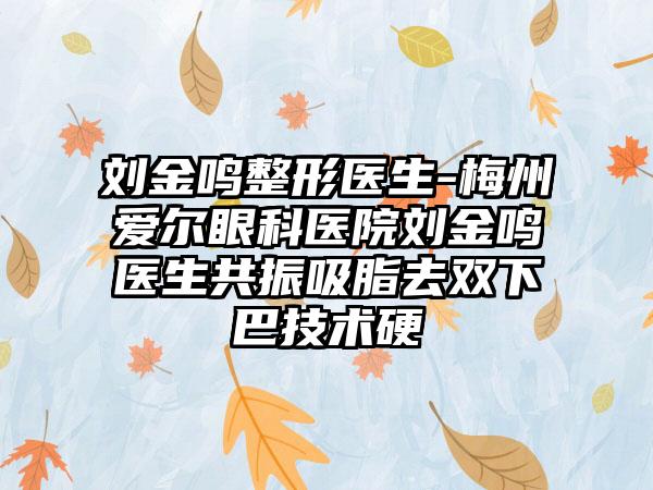 刘金鸣整形医生-梅州爱尔眼科医院刘金鸣医生共振吸脂去双下巴技术硬