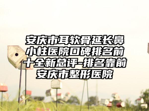 安庆市耳软骨延长鼻小柱医院口碑排名前十全新总评-排名靠前安庆市整形医院